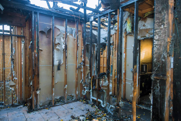 Professional Odor Removal technician working in Fallston, MD