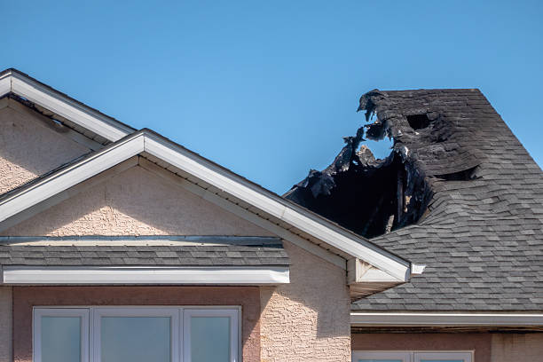 Top rated local Odor Removal specialists in Fallston, MD